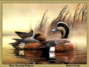 Картинка рисованные животные птицы утки