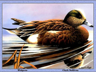 Картинка рисованные животные птицы утки