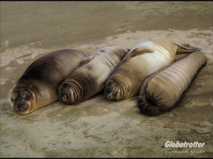 Картинка юмор приколы