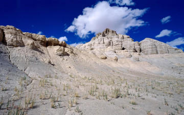 Картинка природа