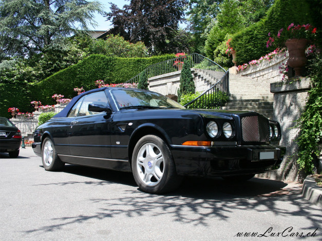 Обои картинки фото автомобили, выставки, уличные, фото