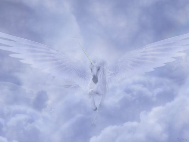 Обои картинки фото фэнтези, пегасы