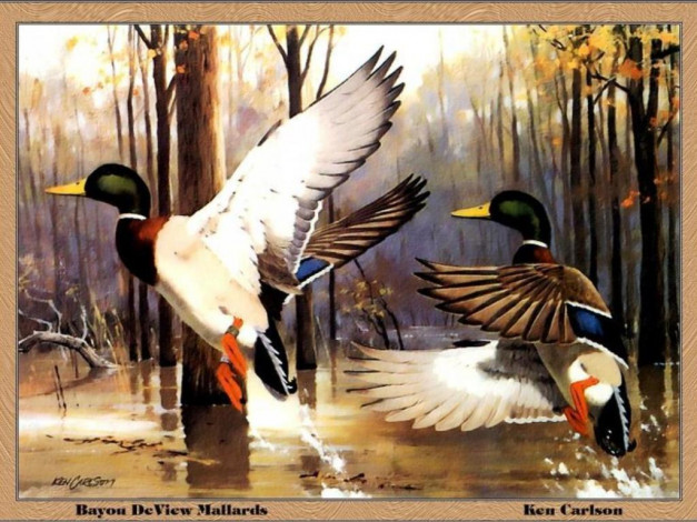 Обои картинки фото рисованные, ken, carlson