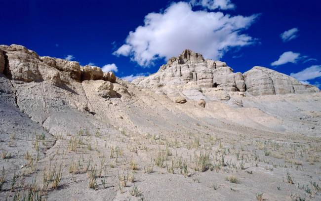 Обои картинки фото природа