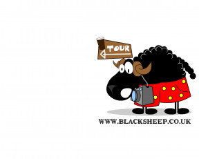 обоя бренды, black, sheep