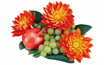 Картинка еда фрукты ягоды