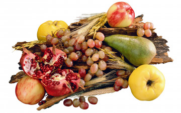 Картинка еда фрукты ягоды