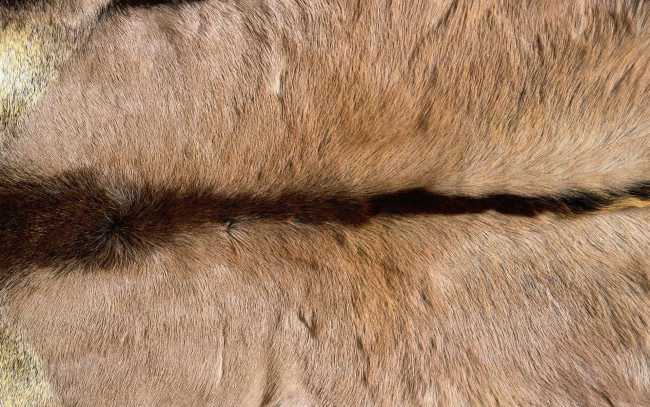 Обои картинки фото разное, текстуры