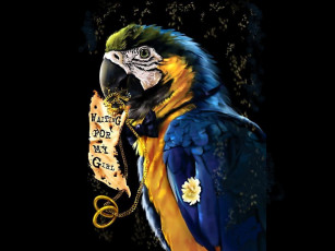 Картинка рисованные животные птицы попугаи