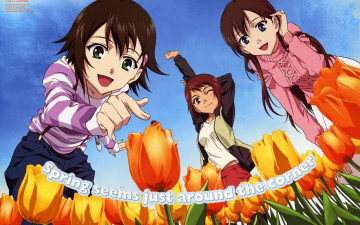 обоя аниме, true, tears