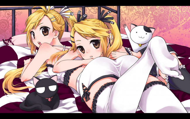 Обои картинки фото аниме, nyankoi