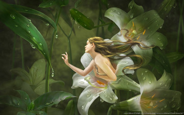 Картинка mirrors of twilight фэнтези эльфы