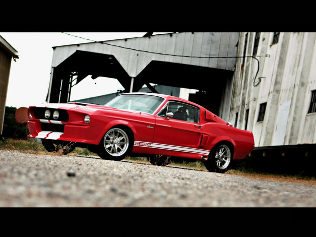 Обои картинки фото gt, 500cr, автомобили, mustang