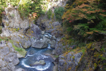 Картинка природа реки озера вода камни