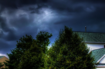 Картинка автор kevin lee природа деревья тучи