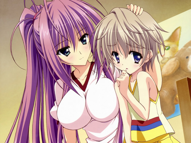 Обои картинки фото аниме, hoshizora, kakaru, hashi, bridge, to, the, sky