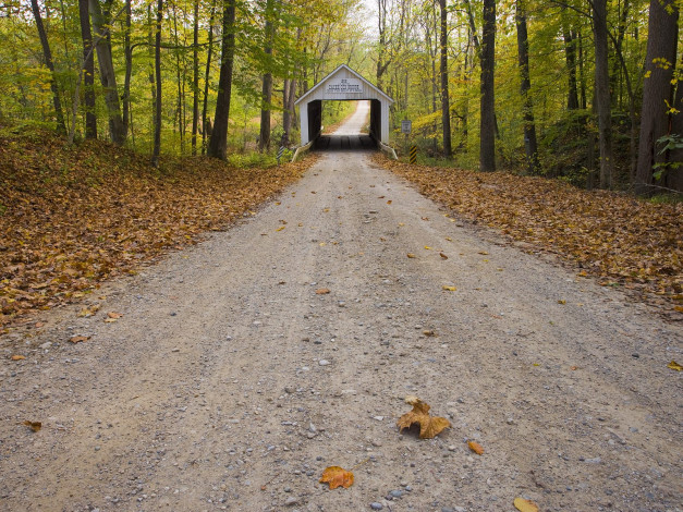 Обои картинки фото природа, дороги, мост, лес