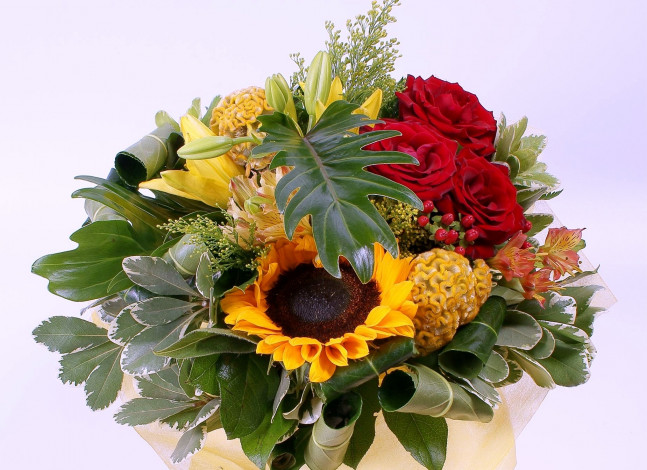 Обои картинки фото цветы, букеты, композиции, лилии, листья, подсолнух, розы