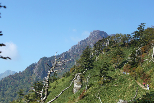 Обои картинки фото природа, горы, тропинка, деревья, камни