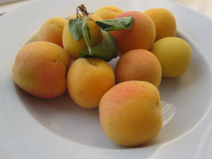 Картинка еда персики сливы абрикосы