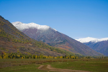 Картинка природа горы дорога снег деревья