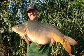 Картинка животные рыбы рыба