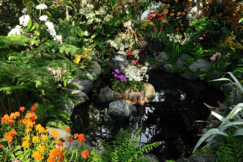 Картинка belmont park new york природа парк кусты водоем трава цветы