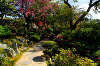 Картинка botanical garden san marino california природа парк сад цветы деревья дорожка