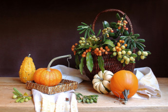 Картинка еда натюрморт тыква