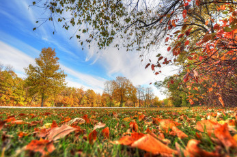 Картинка природа парк осень