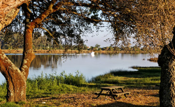 Картинка природа реки озера скамейка дерево река
