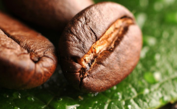 Картинка еда кофе кофейные зёрна зерна листья