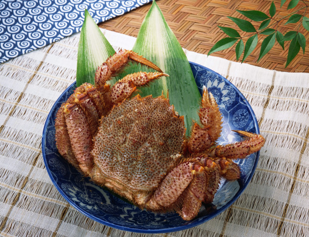 Обои картинки фото еда, рыба, морепродукты, суши, роллы, блюдо, краб