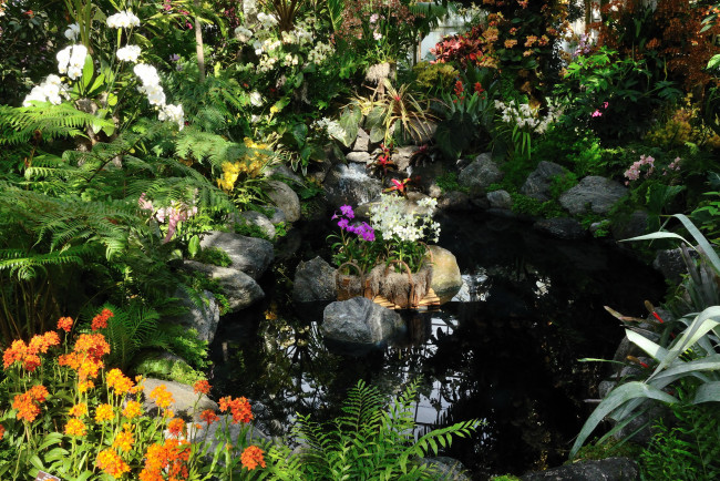 Обои картинки фото belmont, park, new, york, природа, парк, кусты, водоем, трава, цветы