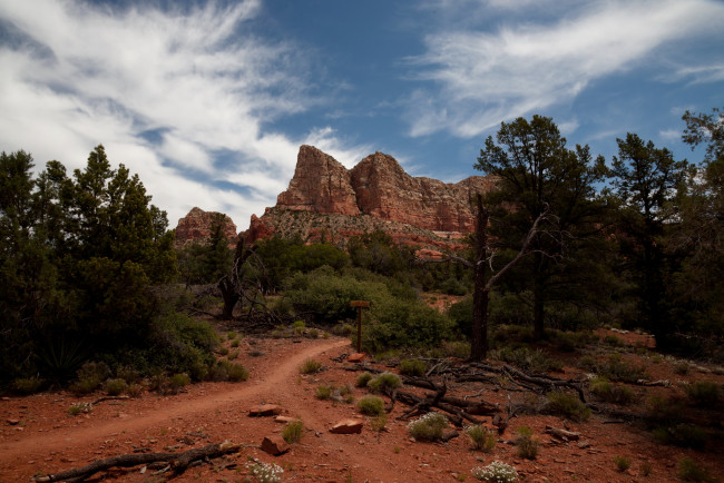 Обои картинки фото sedona, arizona, природа, горы, тропа, деревья