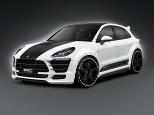 Картинка 2014+porsche+macan+ german+special+customs автомобили porsche тюнинг белый macan