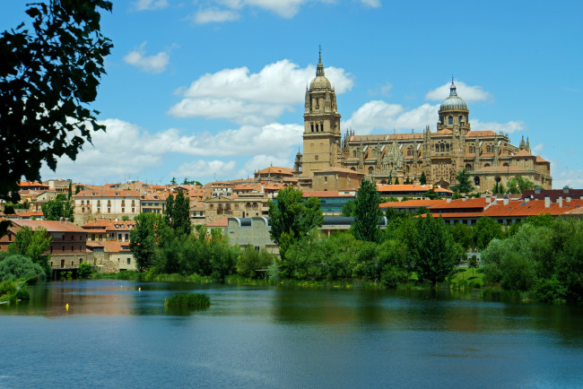 Обои картинки фото испания саламанка, города, - улицы,  площади,  набережные, деревья, дома, испания, саламанка, река, дворец, salamanca
