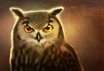 Картинка рисованное животные +птицы +совы +филины взгляд art сова птица клюв глаза