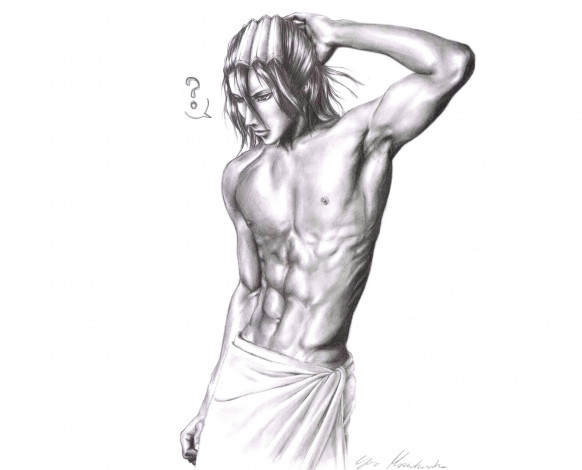 Обои картинки фото разное, арты, кучики, бьякуя, блич, капитан, парень, арт