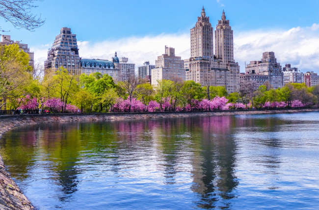Обои картинки фото central park,  ny, города, нью-йорк , сша, здания, водоем, парк
