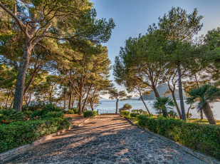 Картинка природа побережье море берег