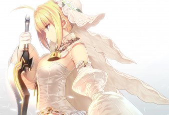 Картинка аниме fate stay+night saber bride