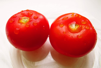 Картинка еда помидоры томаты