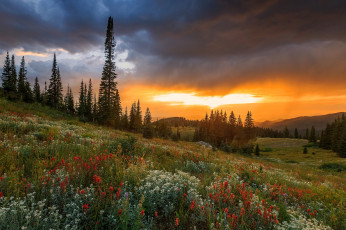 Картинка природа луга рассвет