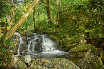 Картинка природа водопады река лес водопад