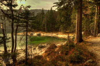 Картинка природа реки озера река лес