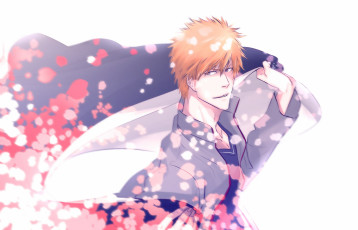 Картинка аниме bleach ичиго shinigami ichigo kurosaki шинигами