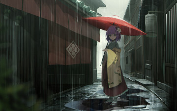 Картинка аниме touhou hieda no akyu