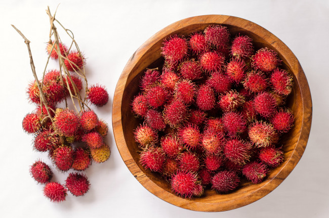 Обои картинки фото еда, орехи,  каштаны,  какао-бобы, плоды