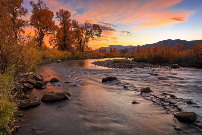 Обои картинки фото природа, реки, озера, река, лес